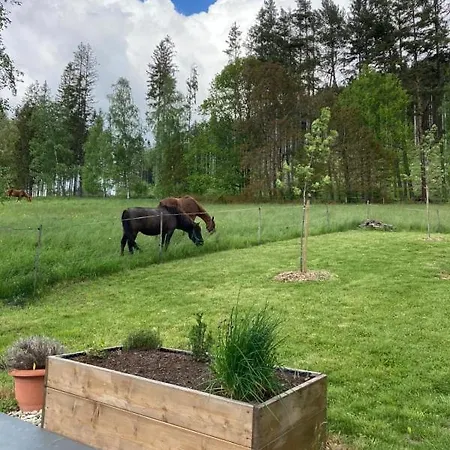Feriehus Bianka Moderni Horska Se Saunou