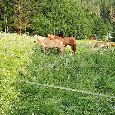Bianka Moderni Horska Se Saunou Tatil Evi Karlovice (Moravia-Silesia)