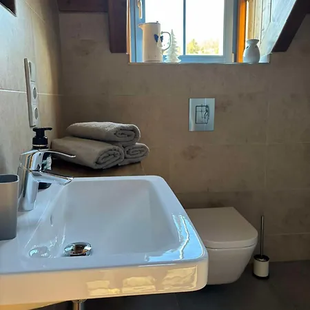 Bianka Moderni Horska Se Saunou Tatil Evi Karlovice (Moravia-Silesia)
