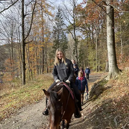 Bianka Moderni Horska Se Saunou Tatil Evi *